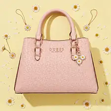 Carteras
